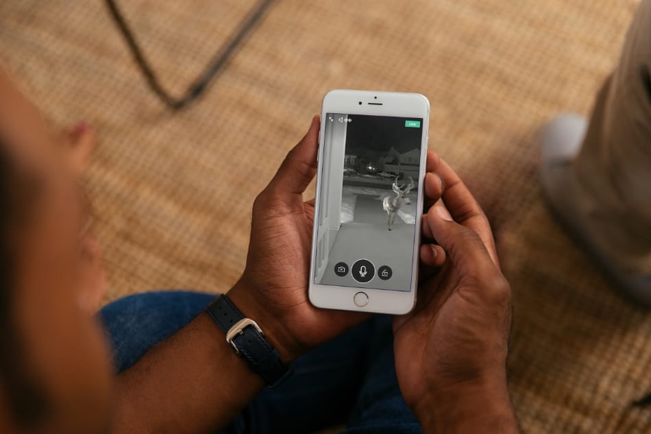 Belgrade MT security system